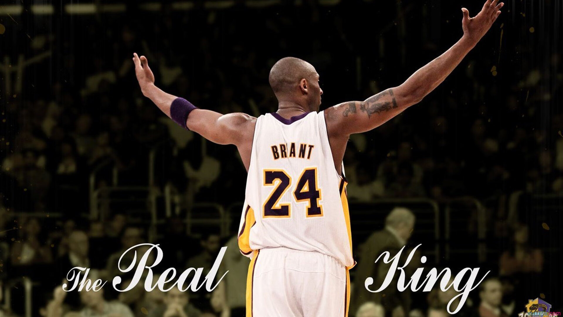 帕尔默加时绝杀定乾坤，哥伦比亚力克尼日利亚晋级四强